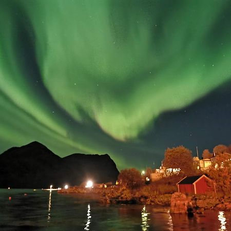 Ferrytale, Cozy, Spacious House On Senja Gryllefjord Экстерьер фото