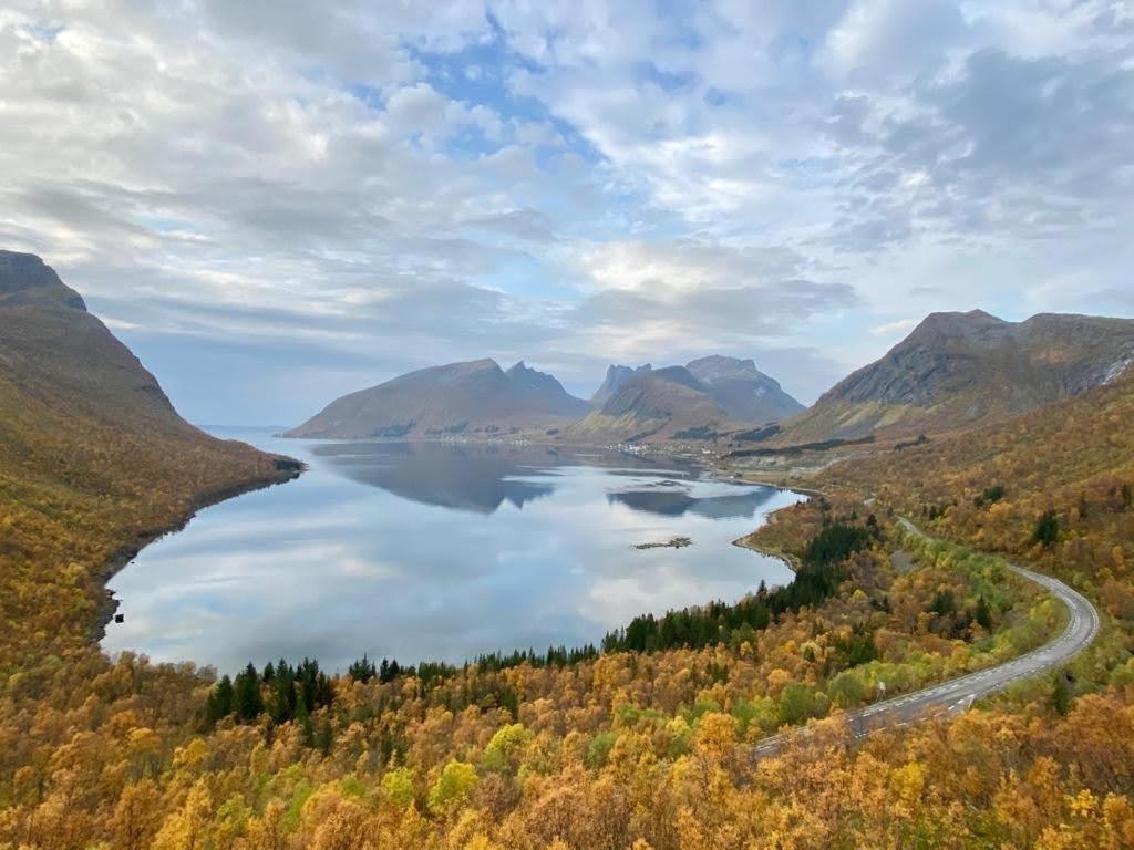 Ferrytale, Cozy, Spacious House On Senja Gryllefjord Экстерьер фото